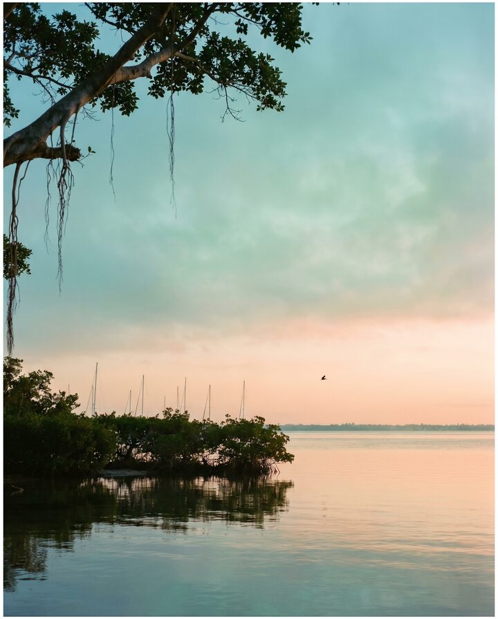Soft Sarasota Bay light with watercolor shoreline atmosphere